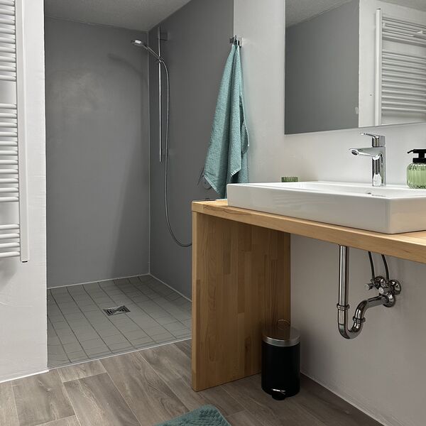 Badezimmer mit Dusche und Waschbecken im Ferienhaus 1850 in Balgheim