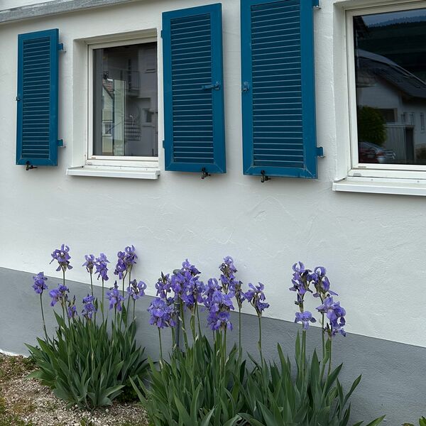 Außenfassade des Ferienhauses 1850 mit Blumen