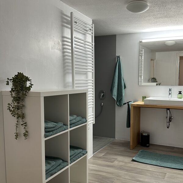 Modernes Badezimmer mit Dusche und Badewanne im Ferienhaus 1850 in Balgheim